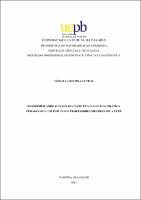 PDF - Debora Cristina Santos.pdf.jpg