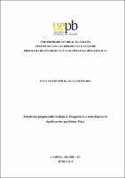 PDF - Davy Macgyver da Silva Messiades.pdf.jpg