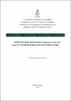 PDF - Naiana Braga da Silva.pdf.jpg