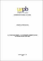 PDF - Viviane Sulpino da Silva.pdf.jpg