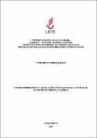 PDF - Conrado Ottoboni Baggio.pdf.jpg