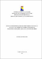 PDF - Rafaella Bastos Leite.pdf.jpg