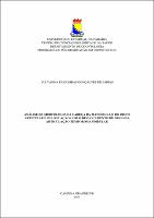 PDF - Julyanna Filgueiras Gonçalves de Farias.pdf.jpg