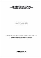 PDF - Silmara Chaves de Souza.pdf.jpg