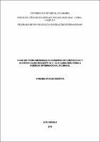 PDF - Vinicius Araújo Bezerra.pdf.jpg