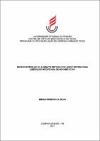 PDF - Bruna Pereira da Silva.pdf.jpg
